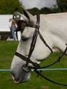 Halter