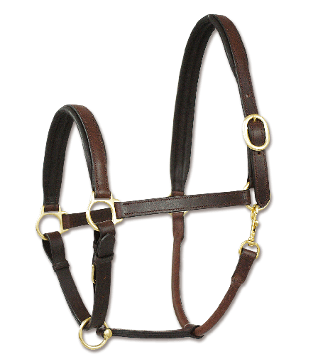 Halter